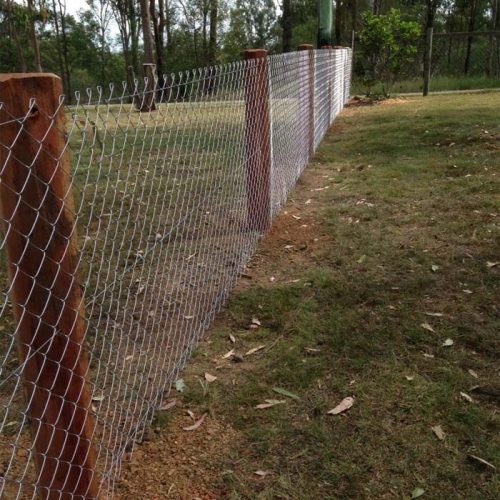 IMG_6826